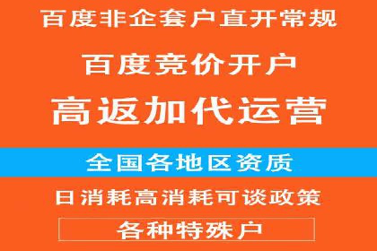 百度竞价广告的关键词策略与优化——以某行业为例